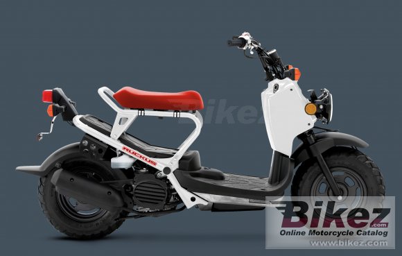 2012 Honda Ruckus photo